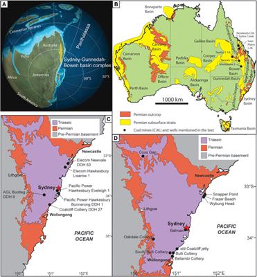 Age and Paleoenvironmental Significance of the Frazer Beach Member—A New Lithostratigraphic Unit Overlying the End-Permian Extinction Horizon in the Sydney Basin, Australia